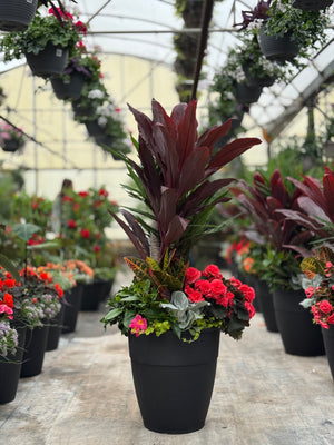 18" Hendrix Round Yucca Mix - Sun (Multiple Colours)