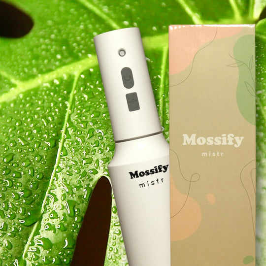 Mossify Misr
