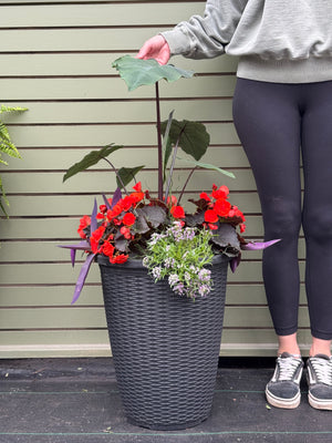 15” Wicker Round Patio Pot - Sun/Shade (Multiple Colours)
