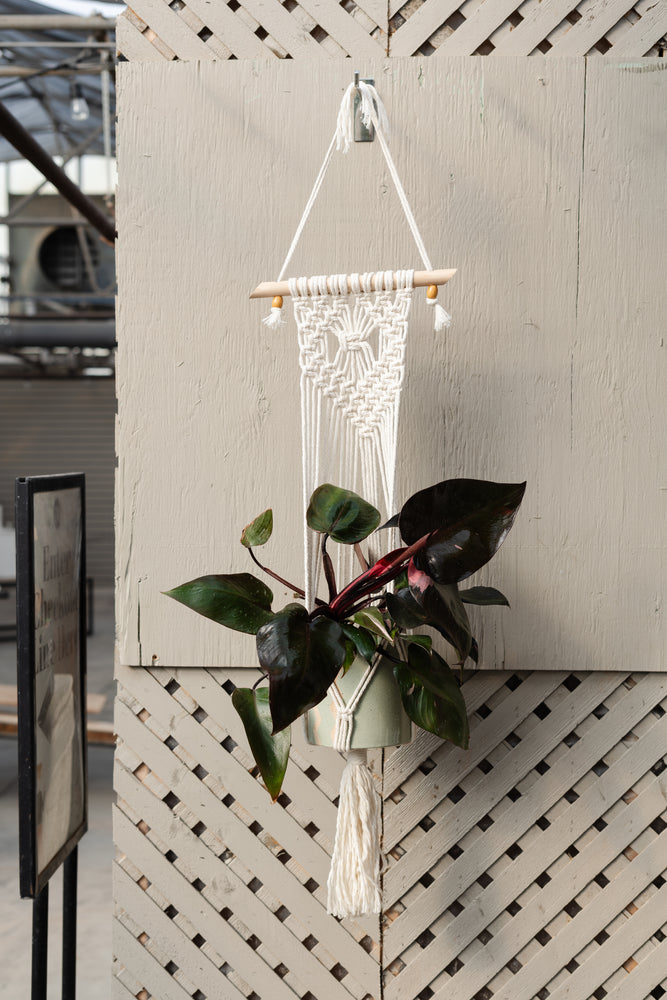 Leslie & Nancy | Macrame Plant Hanger Workshop (Sat., Mar. 29 @ 11 AM)