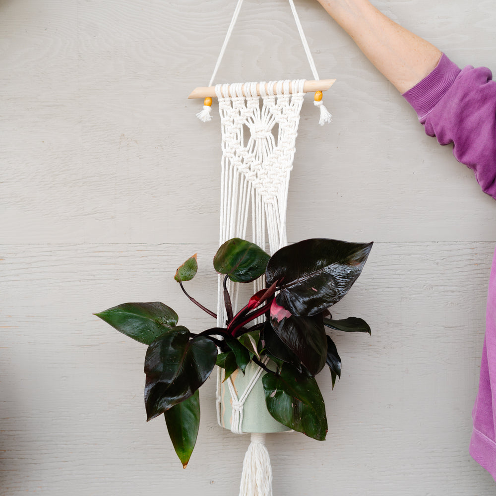 Leslie & Nancy | Macrame Plant Hanger Workshop (Sat., Mar. 29 @ 11 AM)