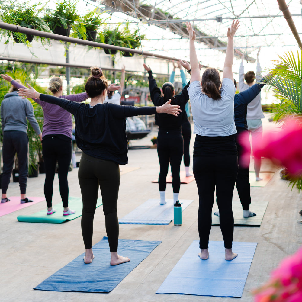 Green Yoga | Energize & Flow Yoga In The Greenhouse (Sun., Apr. 6 @ 9:30 AM)