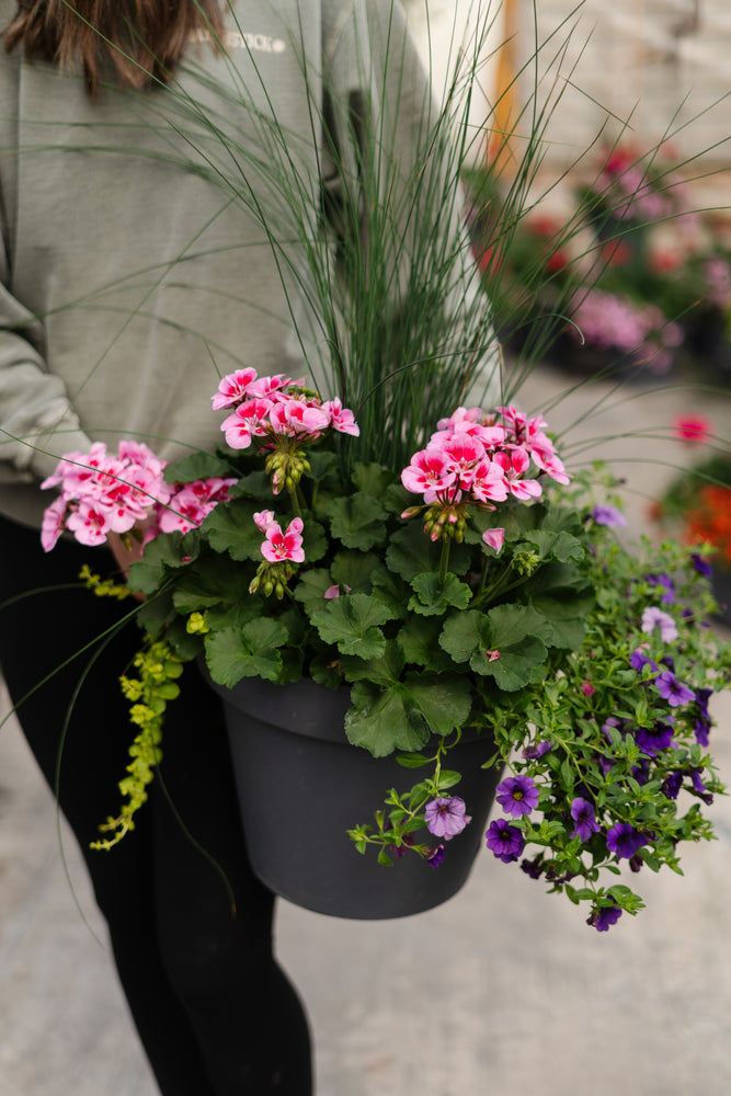 13” Round Geranium Patio Pot - Full Sun/Partial Shade (Multiple Colours)