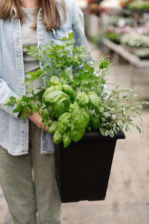 10" Herb Planter