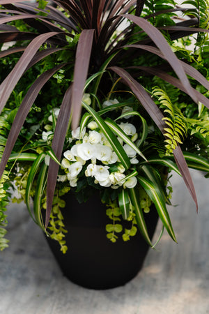 18" Round Hendrix Cordyline Red Star Mix