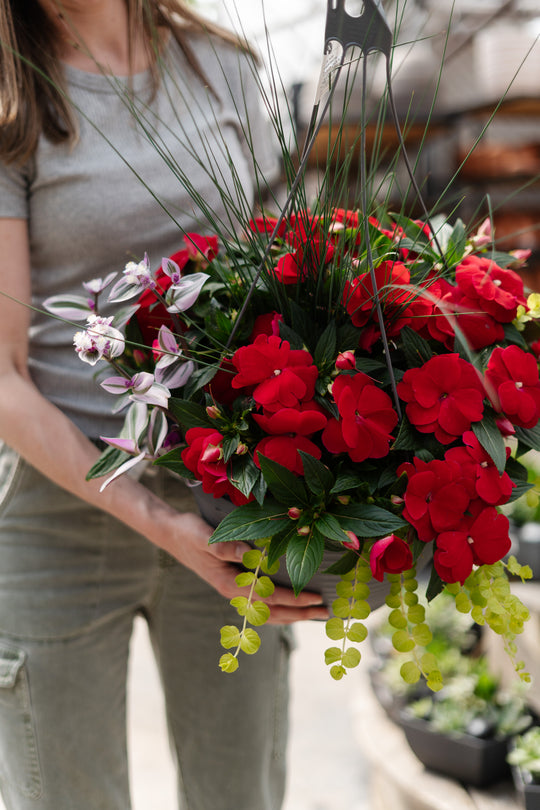 13" New Guinea Impatiens Mix Hanging Basket (Multiple Colours)
