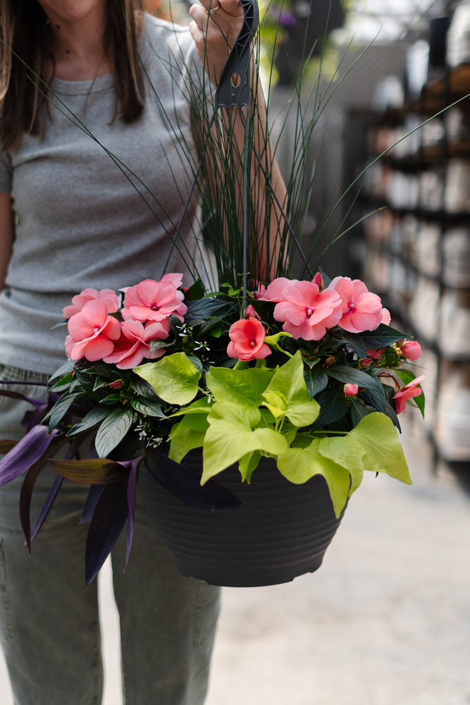 13" New Guinea Impatiens Mix Hanging Basket (Multiple Colours)