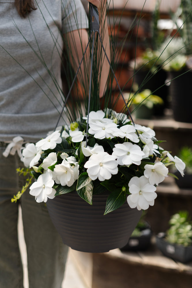 13" New Guinea Impatiens Mix Hanging Basket (Multiple Colours)