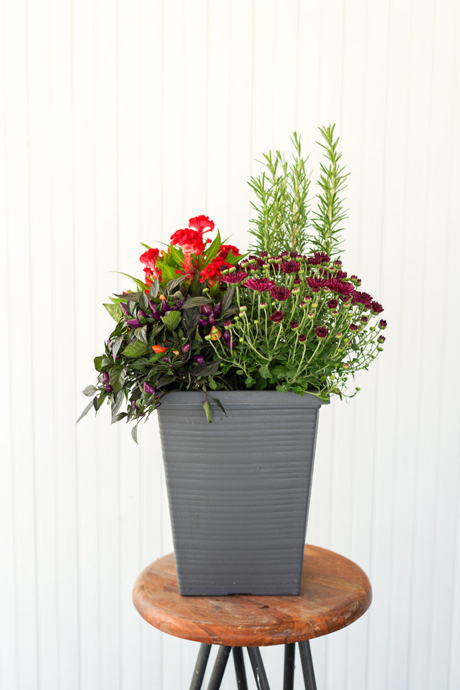 
            
                Load image into Gallery viewer, 10&amp;quot; Tuscany Fall Planter
            
        