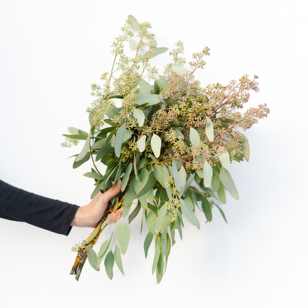 Eucalyptus Bundle - Riverside Secondary School