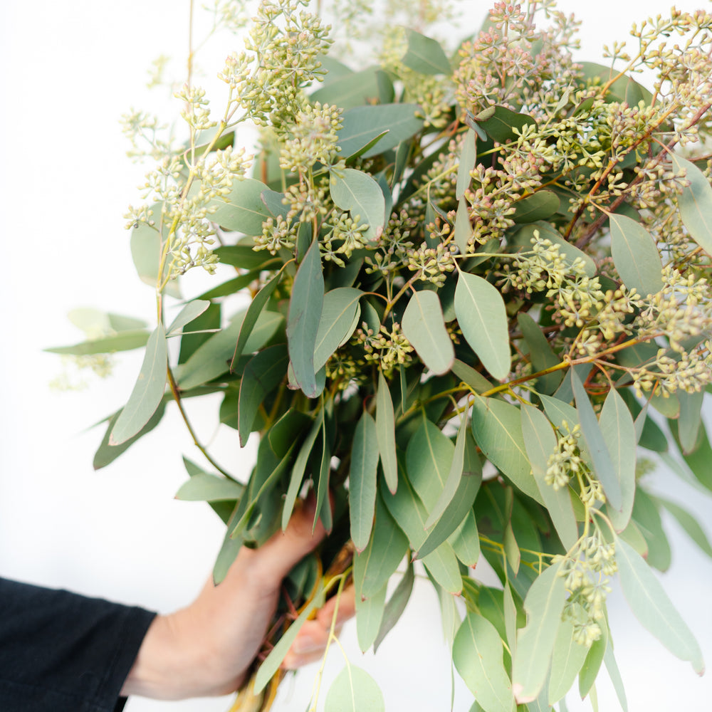 Eucalyptus Bundle - Riverside Secondary School