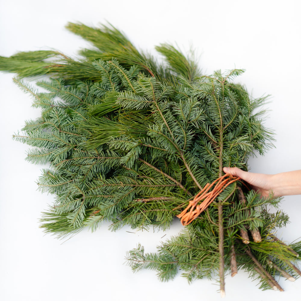 Ontario Mixed Greens Bundle  - Hundred Acre Wood School