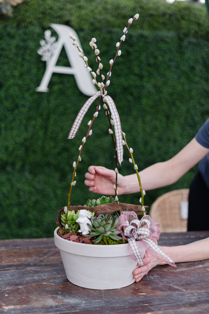 Succulent Planter Workshop (Sun., Mar. 30th @ 11 AM)