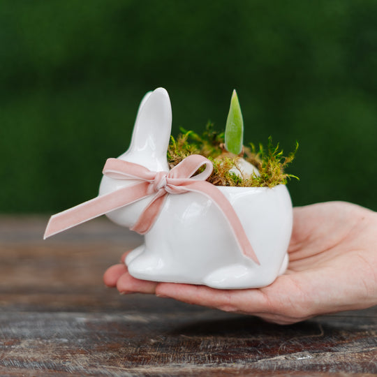 March Break | Spring Bunny Planter Workshop (Wednesday, March 18 @ 11 AM)