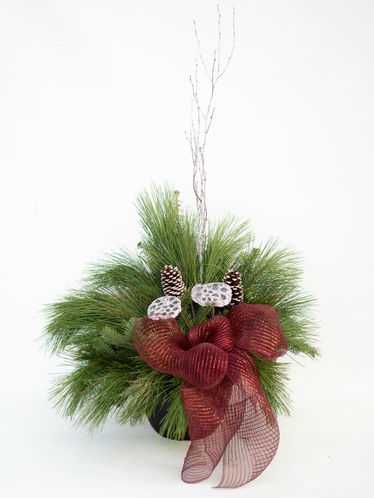 10" Round Winter Planter - Windsor Symphony Orchestra