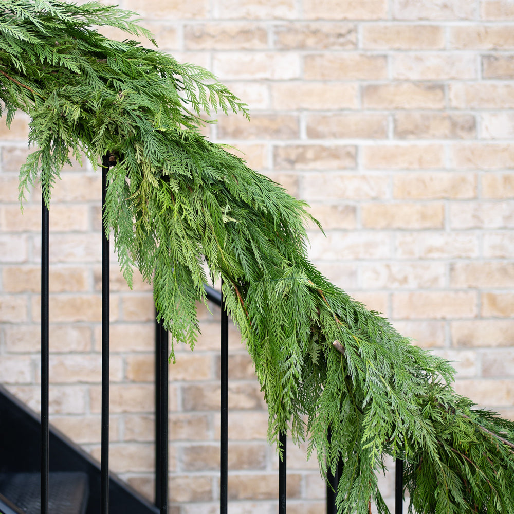 Fresh Premium BC Cedar Garland (6 feet) - Canadian Mental Health Association
