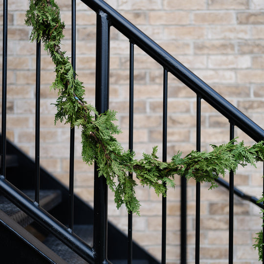 25' Cedar Roping Fresh Garland