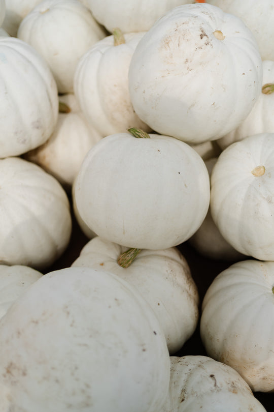 Specialty Pumpkin- White