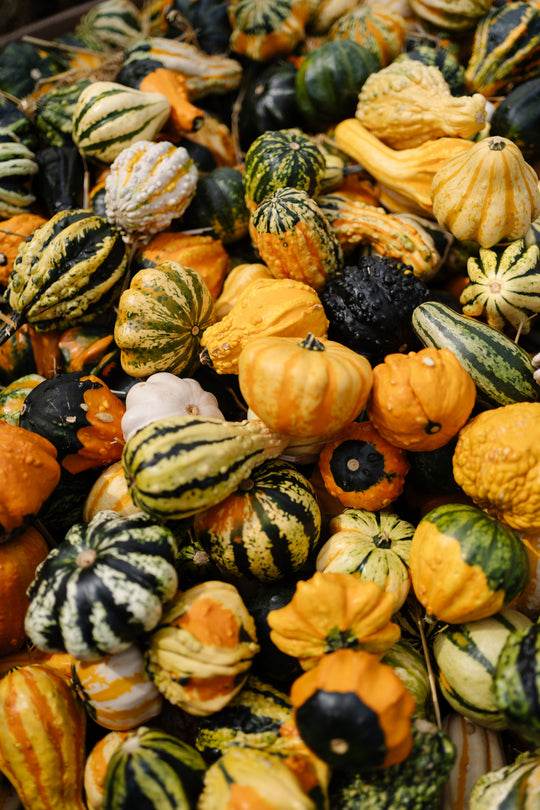 Gourds