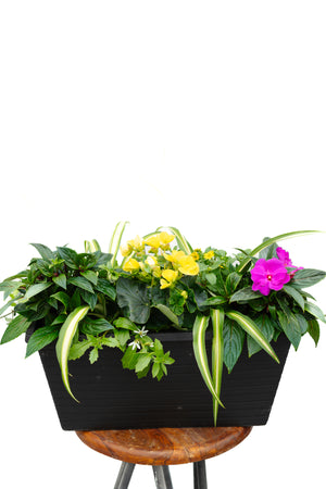 20" Evans Begonia/Impatien Window Box - Partial Sun/Shade (Multiple Colours)