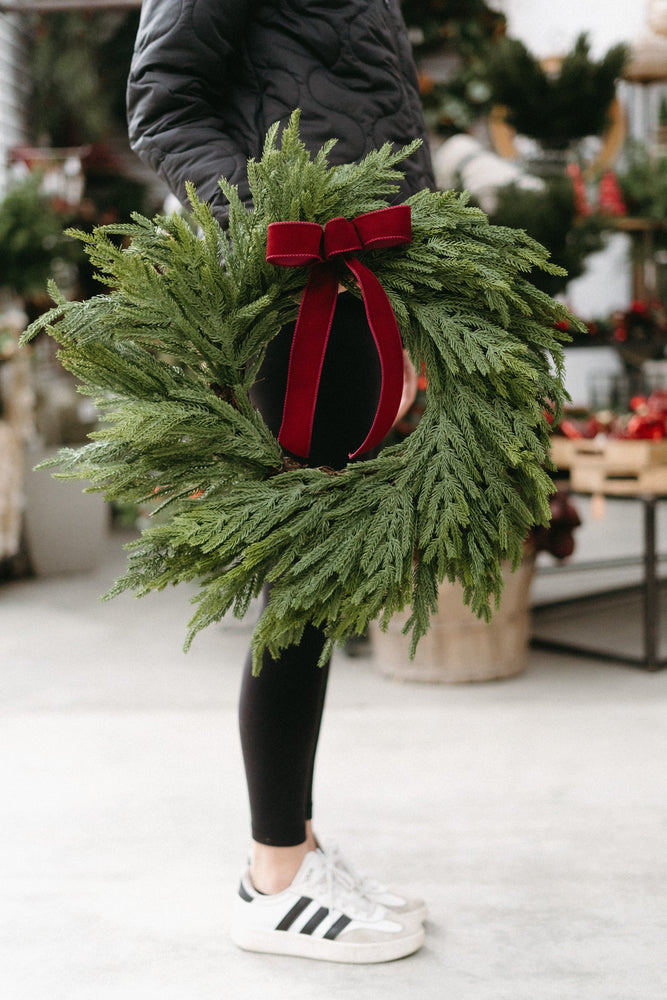 Velvet Bows - pack of 6 (Multiple Colours) - Epilepsy Southwestern Ontario (ESWO)