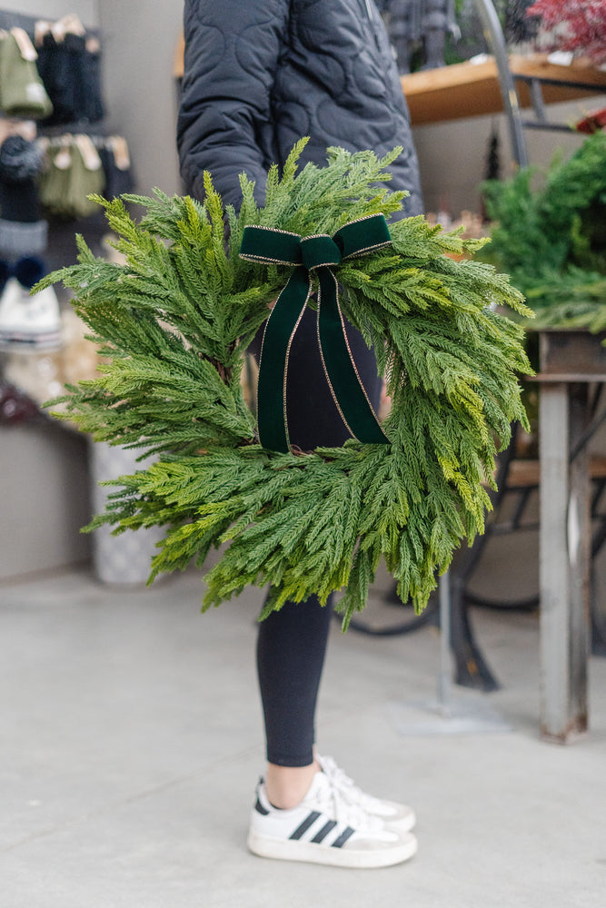 Velvet Bows - pack of 6 (Multiple Colours) - Epilepsy Southwestern Ontario (ESWO)