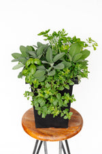 10" Herb Planter