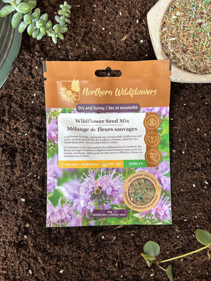 Northern Wildflowers Dry and Sunny Mix 100 ft2 25  Gram