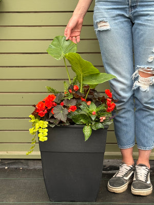 14" Square Hendrix Patio Pot: Partial Sun/Shade (Multi-Colours)
