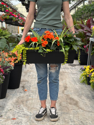 24" Begonia/Impatien Window Box - Partial Sun/Shade (Multiple Colours)