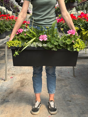 30" Tuscany Geranium Window Box (Multiple Colours)