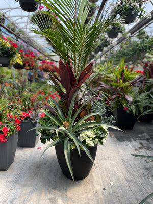 22" Wicker Round Mix (Spindle/Cordyline) Full Sun/Partial Sun (Multiple Colours)