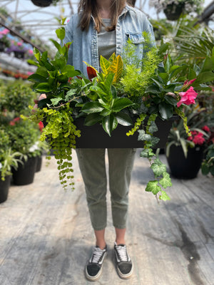 24” Tropical Window Box: Full Sun/Partial Shade (Multiple Colours)