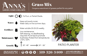 16" Round Coleus Grass Mix