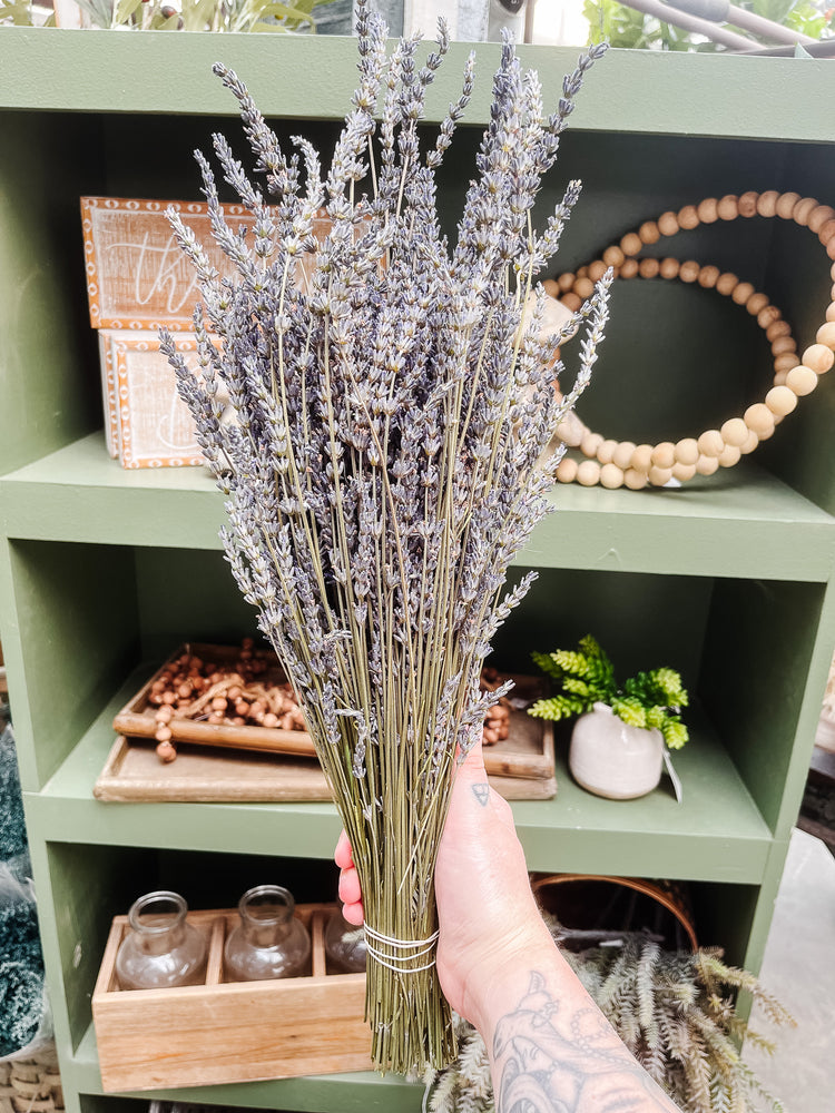 
            
                Load image into Gallery viewer, 4 oz. Dried French Lavender Bunch (Local)
            
        