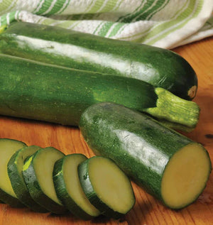 Jackpot Squash Zucchini