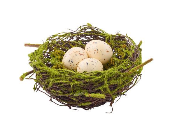 4.25" x 1.75" Angelvine Bird Nest