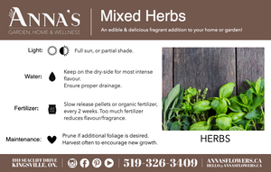 10" Herb Planter - Erie Migration District School  - Elementary