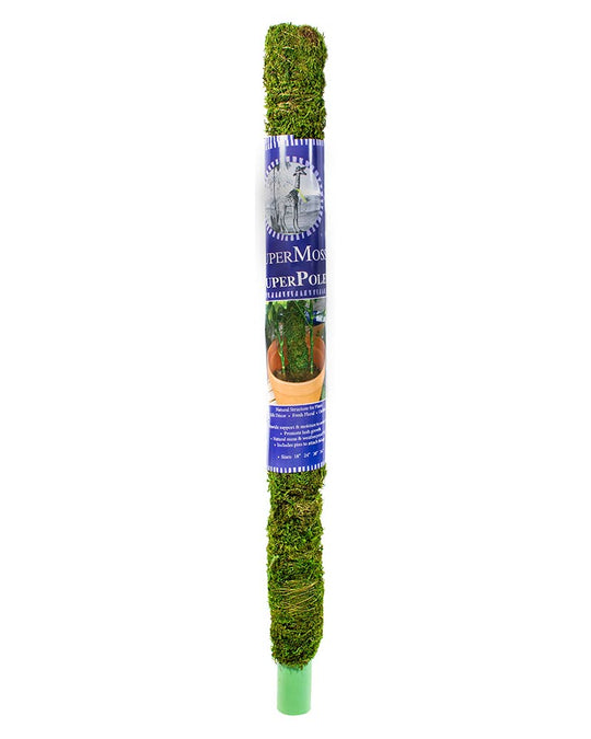 24" Moss Pole