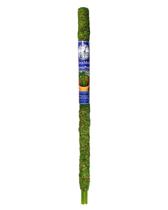 36" Moss Pole