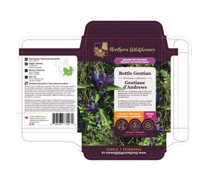Northern Wildflowers Bottle Gentian- Seed Pack 100  Count