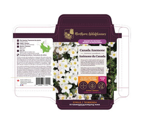 Northern Wildflowers Canada Anemone- Seed Pack 30  Count