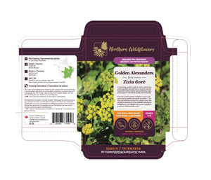 Northern Wildflowers Golden Alexanders- Seed Pack 80  Count