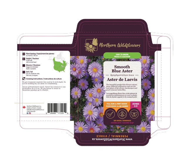 Northern Wildflowers Smooth Blue Aster- Seed Pack 325  Count