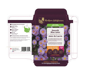 Northern Wildflowers Smooth Blue Aster- Seed Pack 325  Count