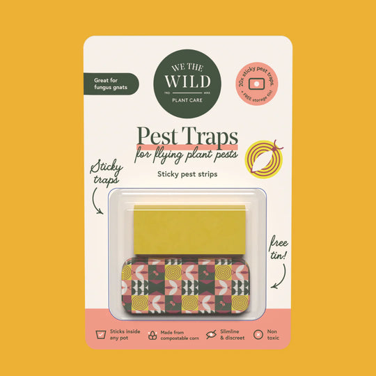 Compostable Gnat Traps (20 sticky traps per pack)