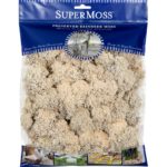 Reindeer Moss - Natural - 175 cu.in.