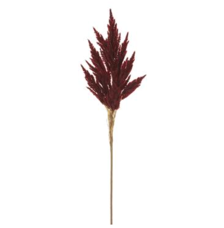 
            
                Load image into Gallery viewer, 31.5&amp;quot; Pampas Grass Burgundy - Florals and Foliage
            
        