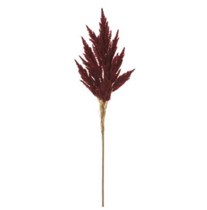 31.5" Pampas Grass Burgundy - Florals and Foliage