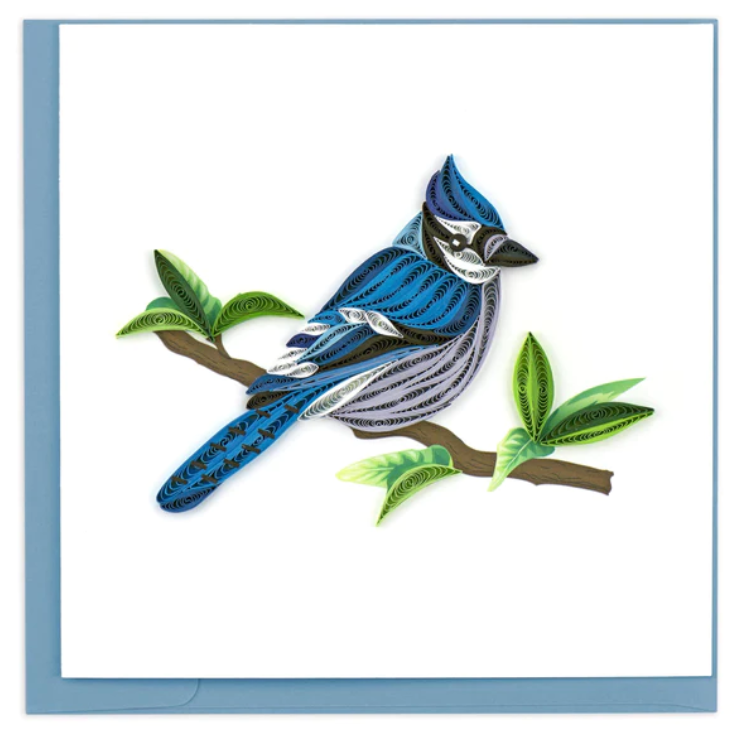 
            
                Load image into Gallery viewer, Blue Jay Card
            
        